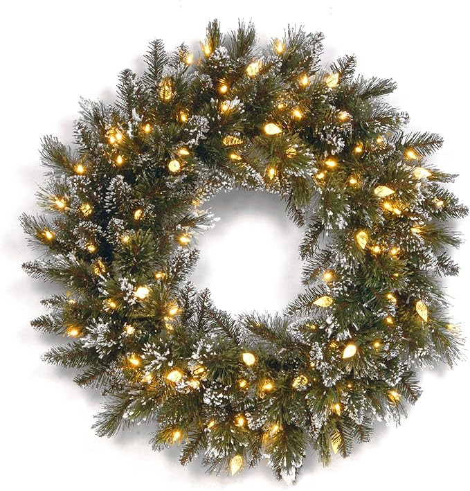 National Tree GB3-319-24W-6 24-Inch Glittery Bristle Pine Wreath with 50 Soft White LED Lights | Amazon (US)