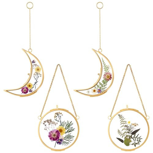Qunclay 4 Pcs Pressed Flower Frames Bulk Double Glass Floating Hanging Photo Frame Sun Moon Clear Pressed Flower Decor with Chain for DIY Crafts Artwork Display Gallery(Gold,3.5 x 2.5 Inch) | Amazon (US)