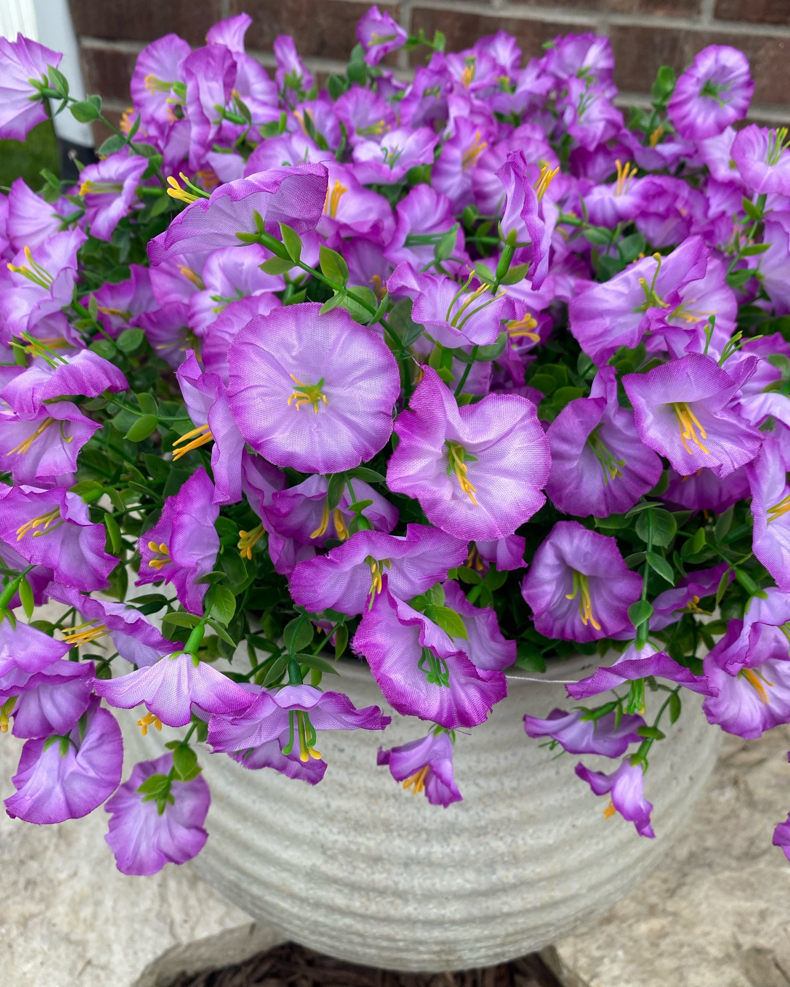 I loved the white ones so much, I bought them in purple!🤣

#LTKSeasonal #LTKHome