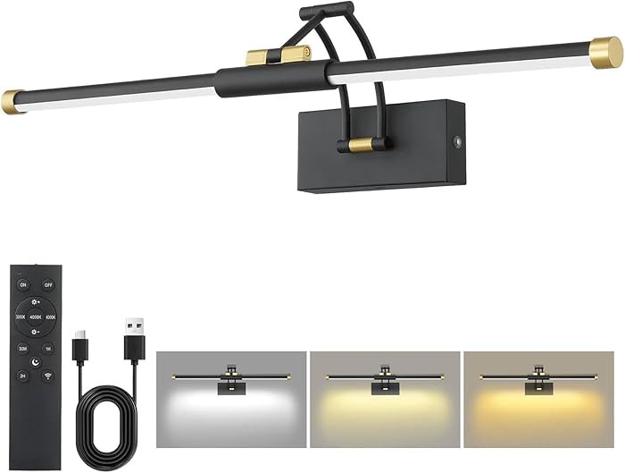 24\u201c Picture Lights for Wall, 8000mAh Rechargeable Wireless Picture Light with Remote, LED Wa... | Amazon (US)