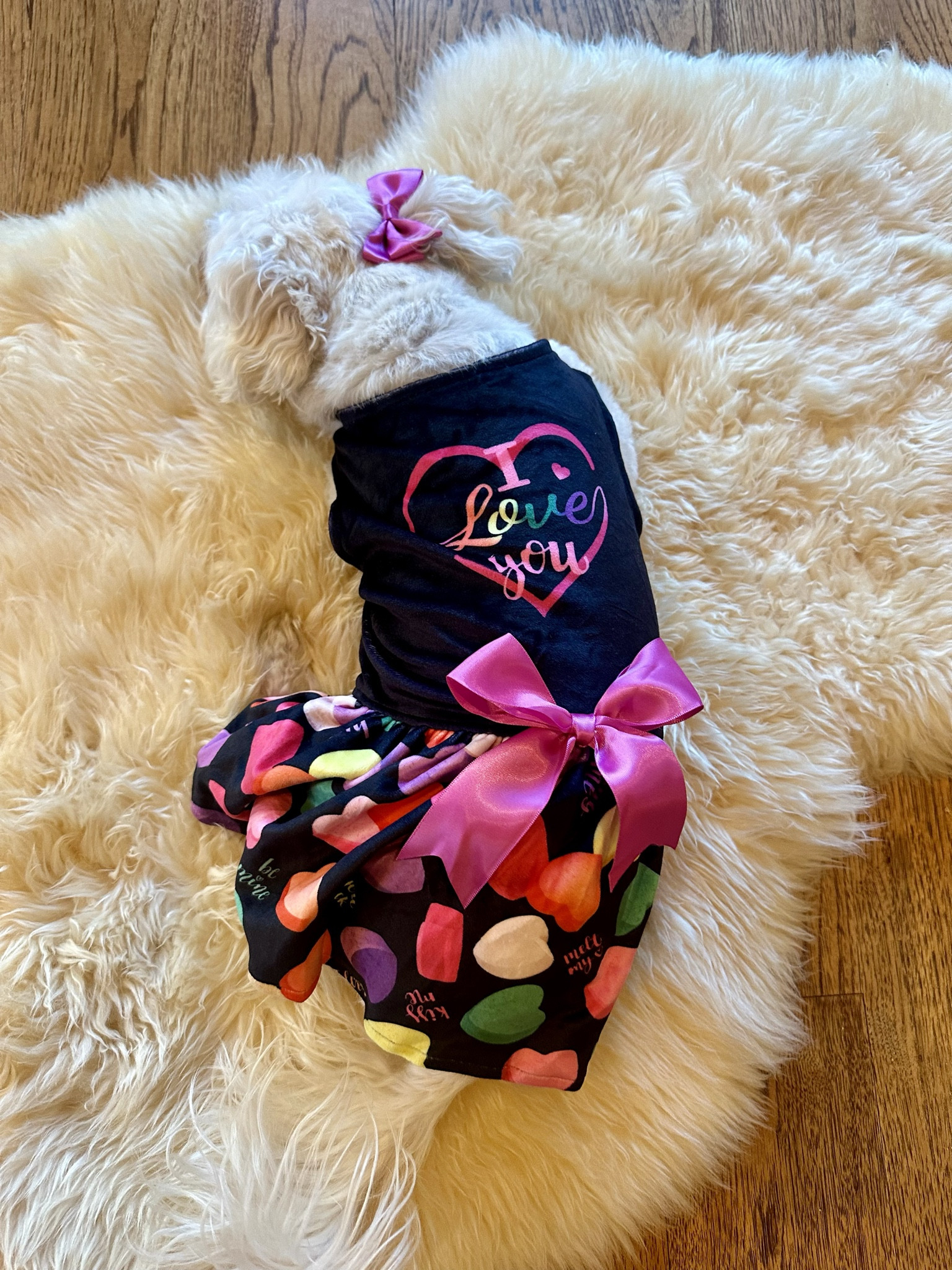 Holiday Dog Dresses

The absolutely cutest dog dresses and sweaters for all the upcoming holidays! 

#LTKhome

pet clothing, dog dresses, holiday pet dresses, V-Day dog dress, St. Patrick’s Day dog dress, Easter dog dress, dog sweaters, puppy dresses, pet gifts, gifts for your pet, 



#LTKGiftGuide #LTKSeasonal #LTKstyletip