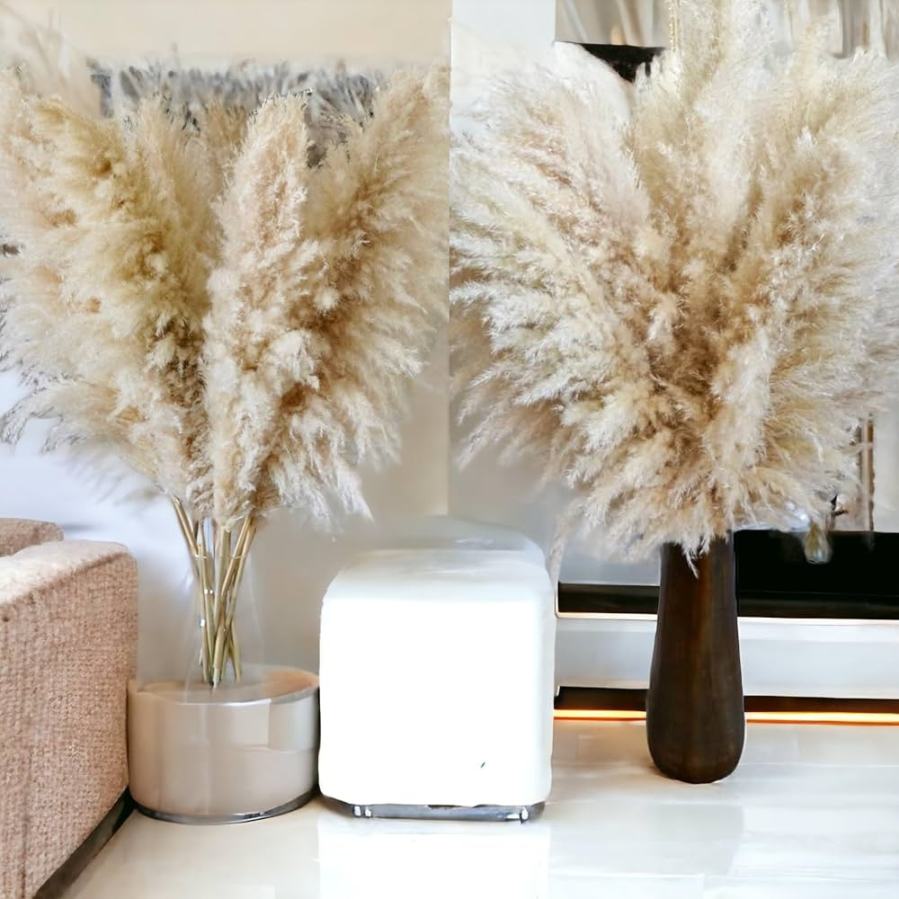 40" inch 20 Stems Natural Dried Pampas Grass – Tall, Large and Fluffy, No Shedding No Stench, 2... | Amazon (US)