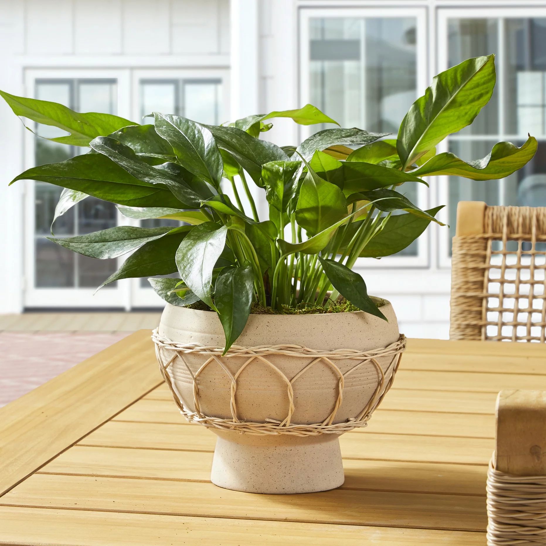 Dave & Jenny Marrs for Better Homes & Gardens 8 in Ellie Pedestal Beige Ceramic Planter | Walmart (US)