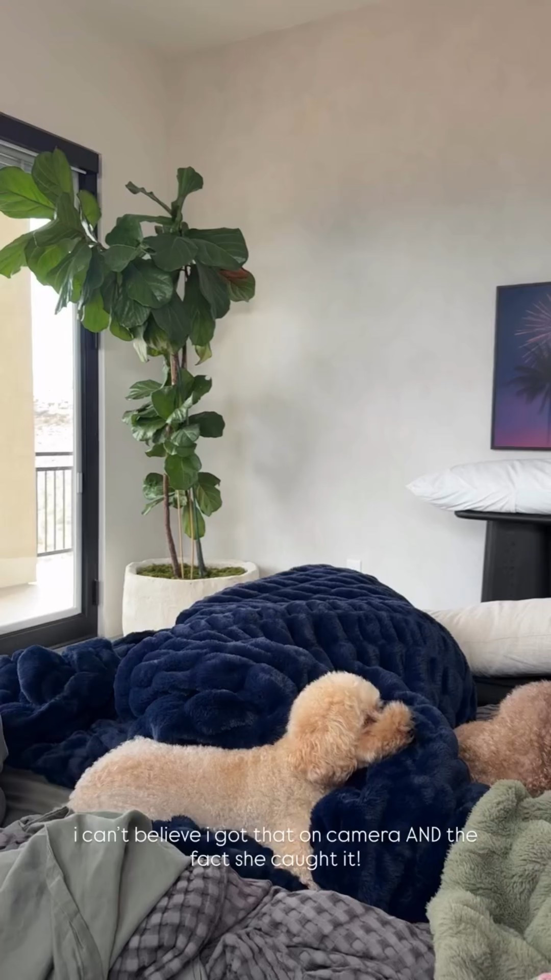 i can’t believe i got that on camera AND the fact she caught it!