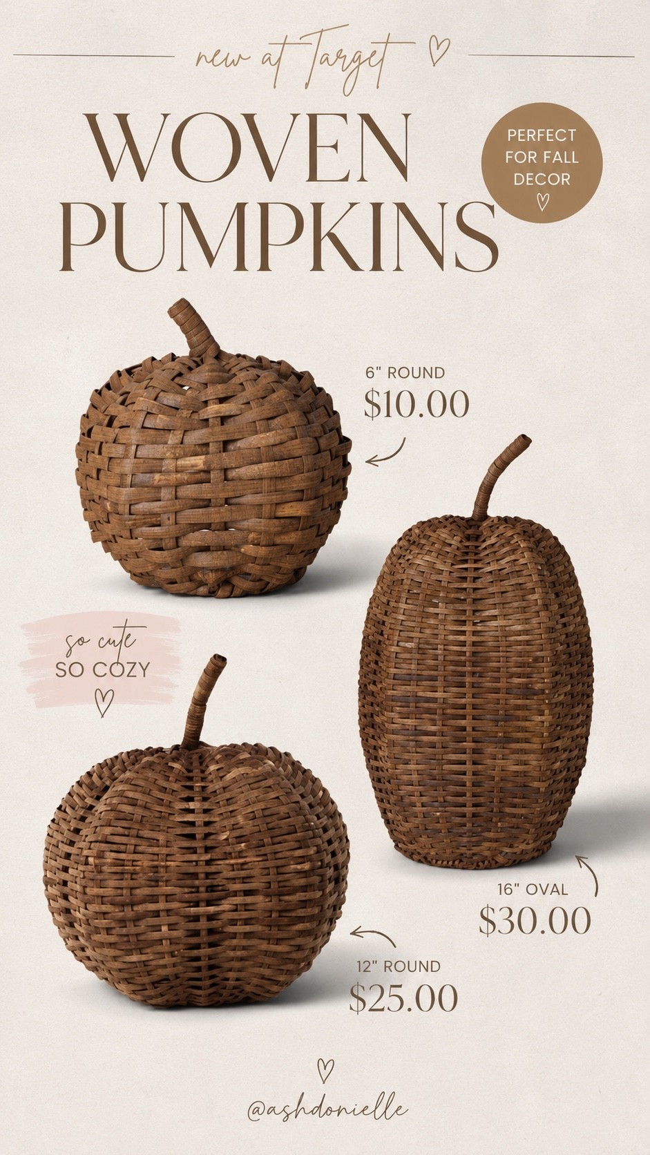 Woven pumpkins from Target 🎯

#LTKSeasonal #LTKHome #LTKvlog