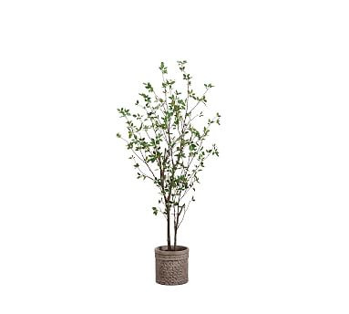 Faux Cornus Tree In Terracotta Planter | Pottery Barn | Pottery Barn (US)