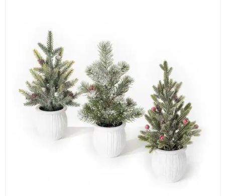 This set of three faux potted pines is perfect for your holiday decor (and it’s on sale!)

#LTKCyberWeek #LTKSeasonal #LTKHoliday