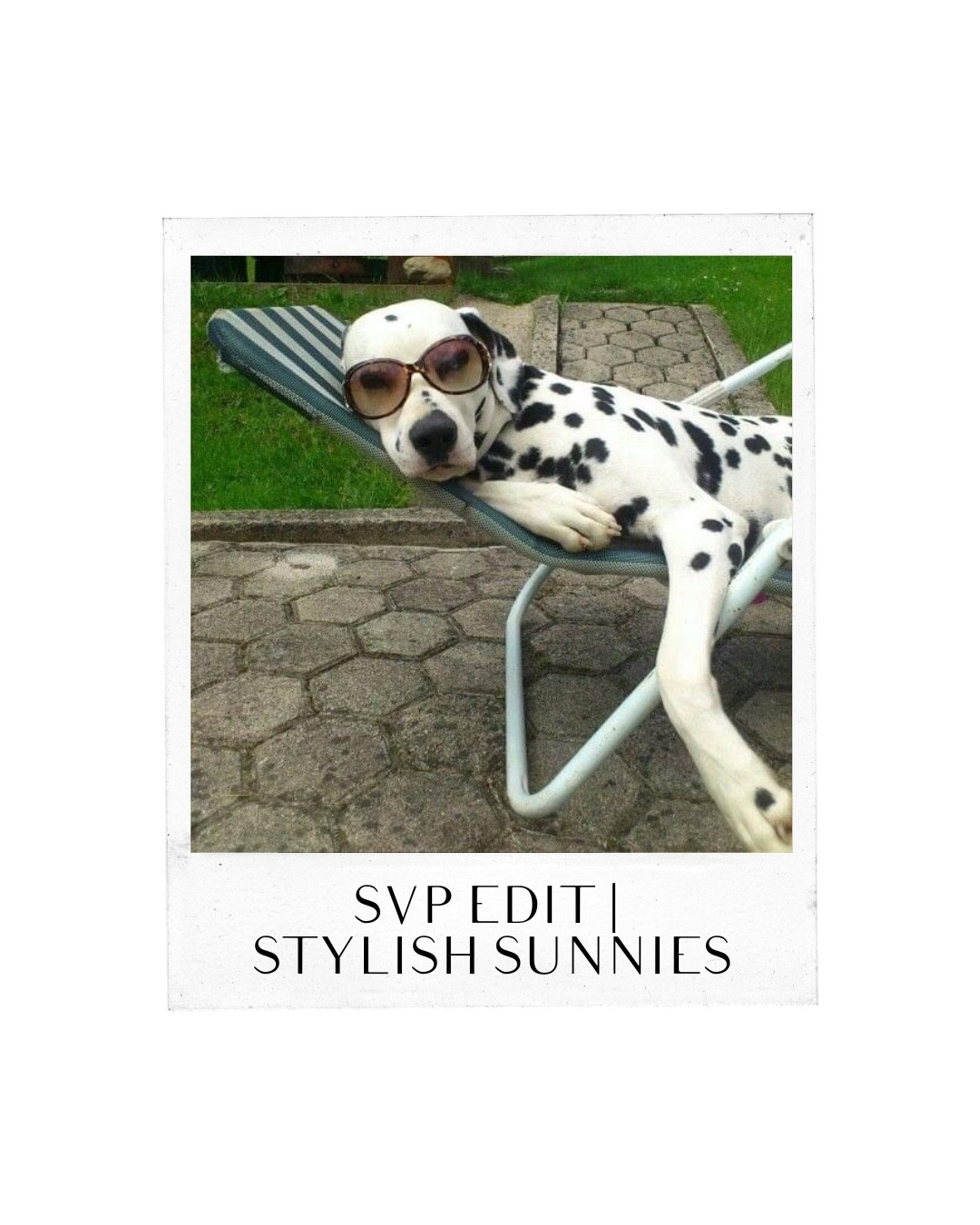 SVP Edit | Stylish Sunnies

#LTKStyleTip #LTKSeasonal #LTKNYFW