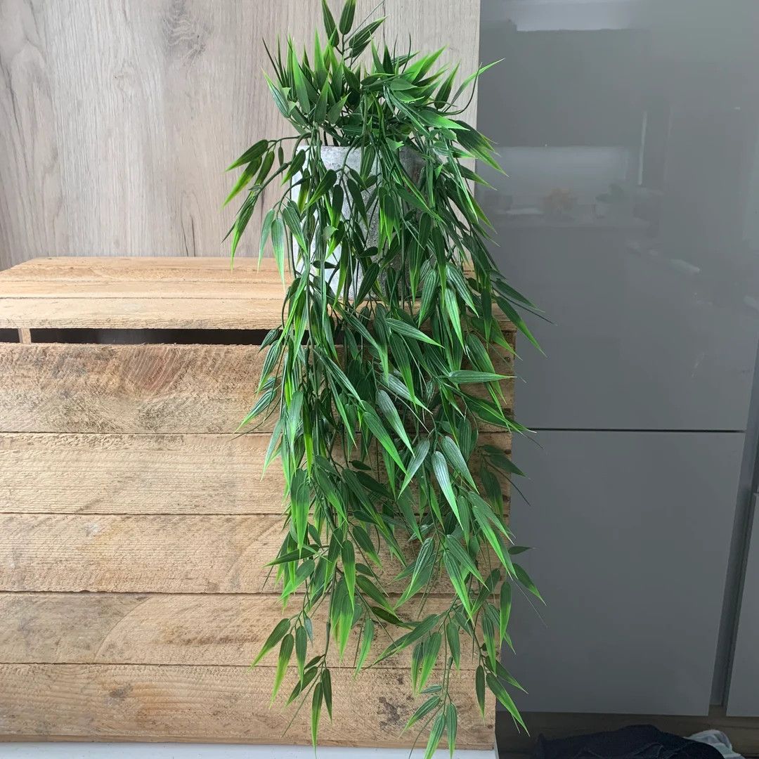 Artificial Trailing Bamboo Bush, 75cm With or Without Pot - Etsy | Etsy (US)