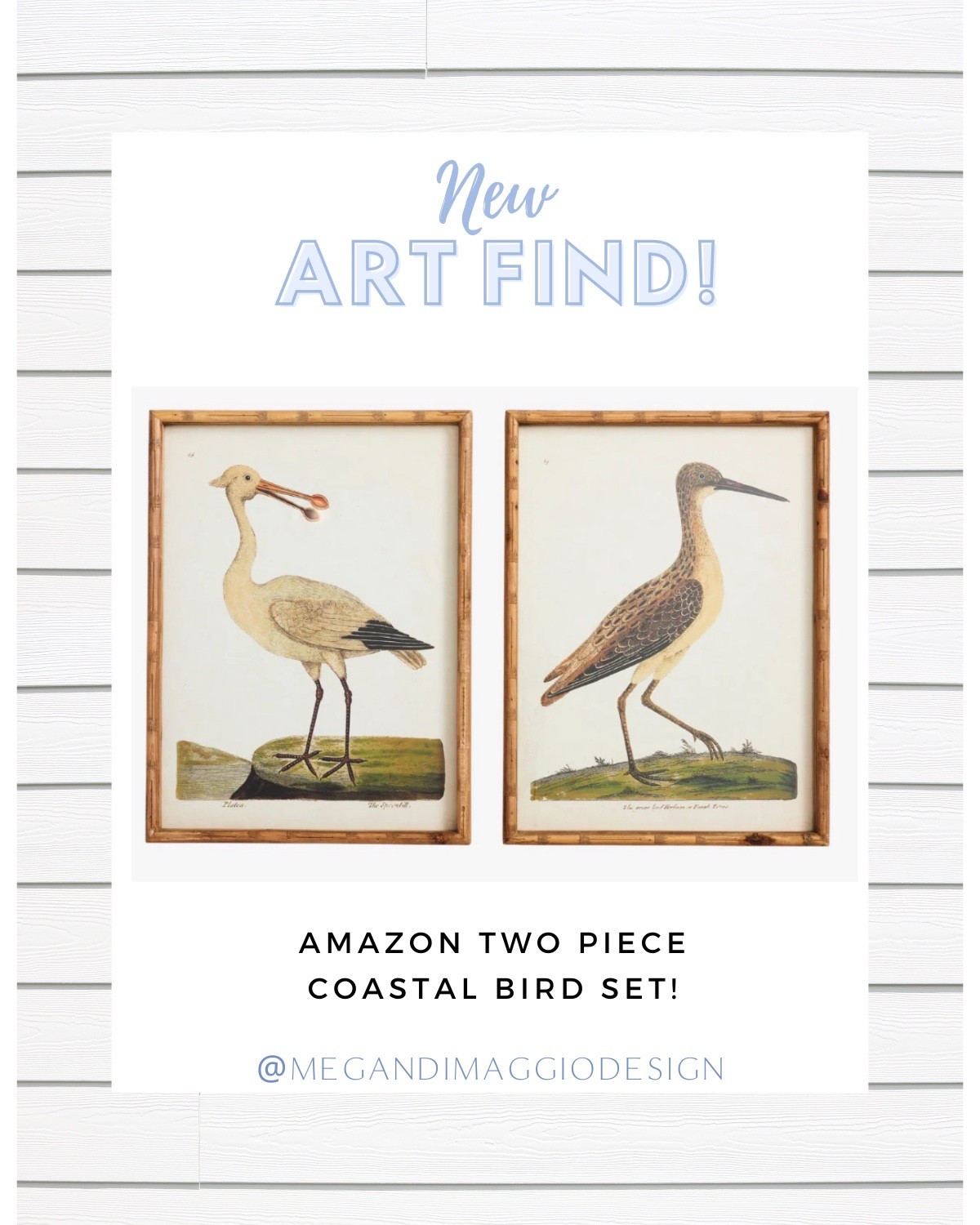 Affordable coastal bird 2 piece art set from Amazon!! Looks like pottery barn and a great size too!