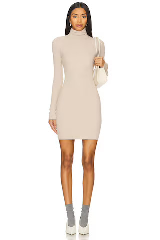 Silk Turtleneck Mini Dress in Jute | Revolve Clothing (Global)