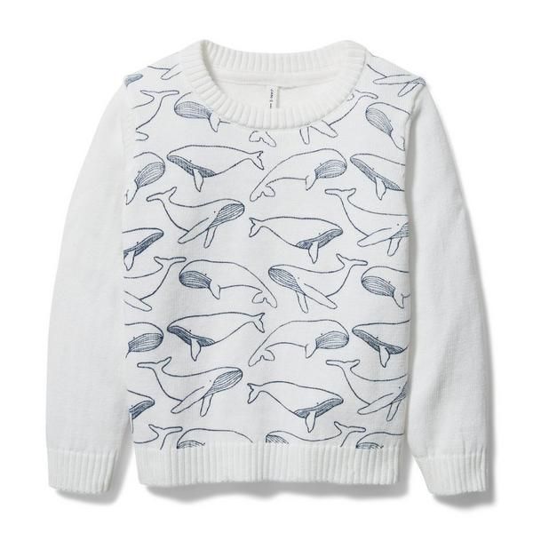 Whale Sweater | Janie and Jack