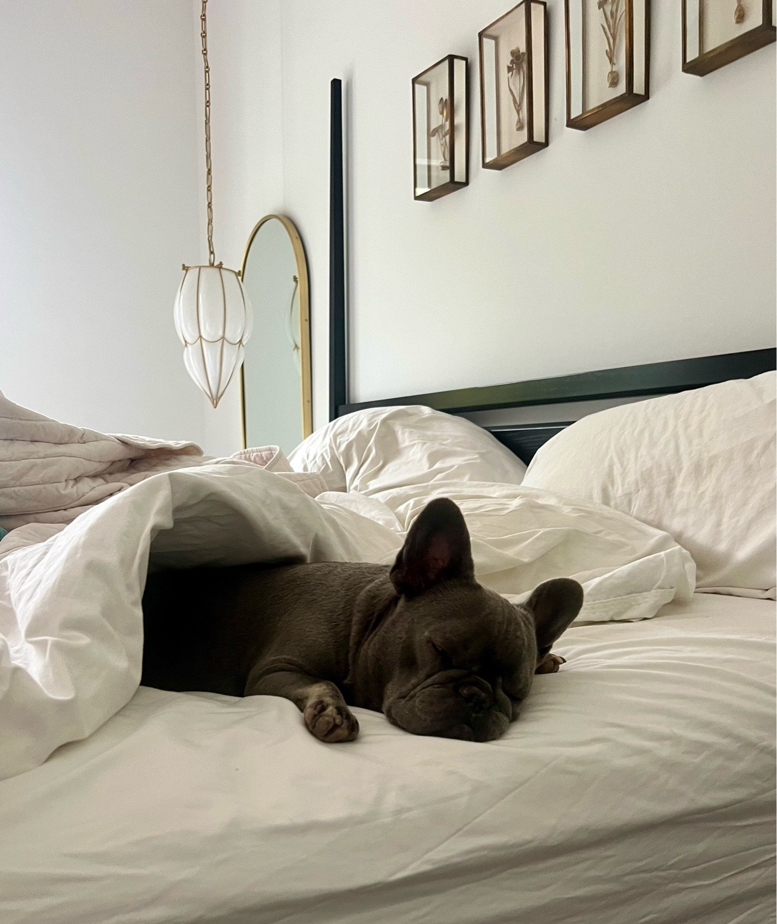 My fave sheets on sale. 
With sheets like these, you will never want to get out of bed. 

On sale, target home, sheets, bedding sale, bedroom design 

#LTKStyleTip #LTKSaleAlert #LTKHome