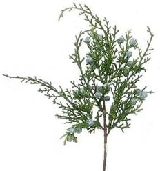 Pack of 12 Artificial Juniper Cedar Sprays with Berries - Christmas Greenery for Winter Indoor or... | Amazon (US)