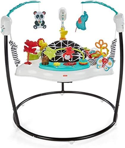 Fisher-Price Animal Wonders Jumperoo, White 1 Count (Pack of 1) | Amazon (US)