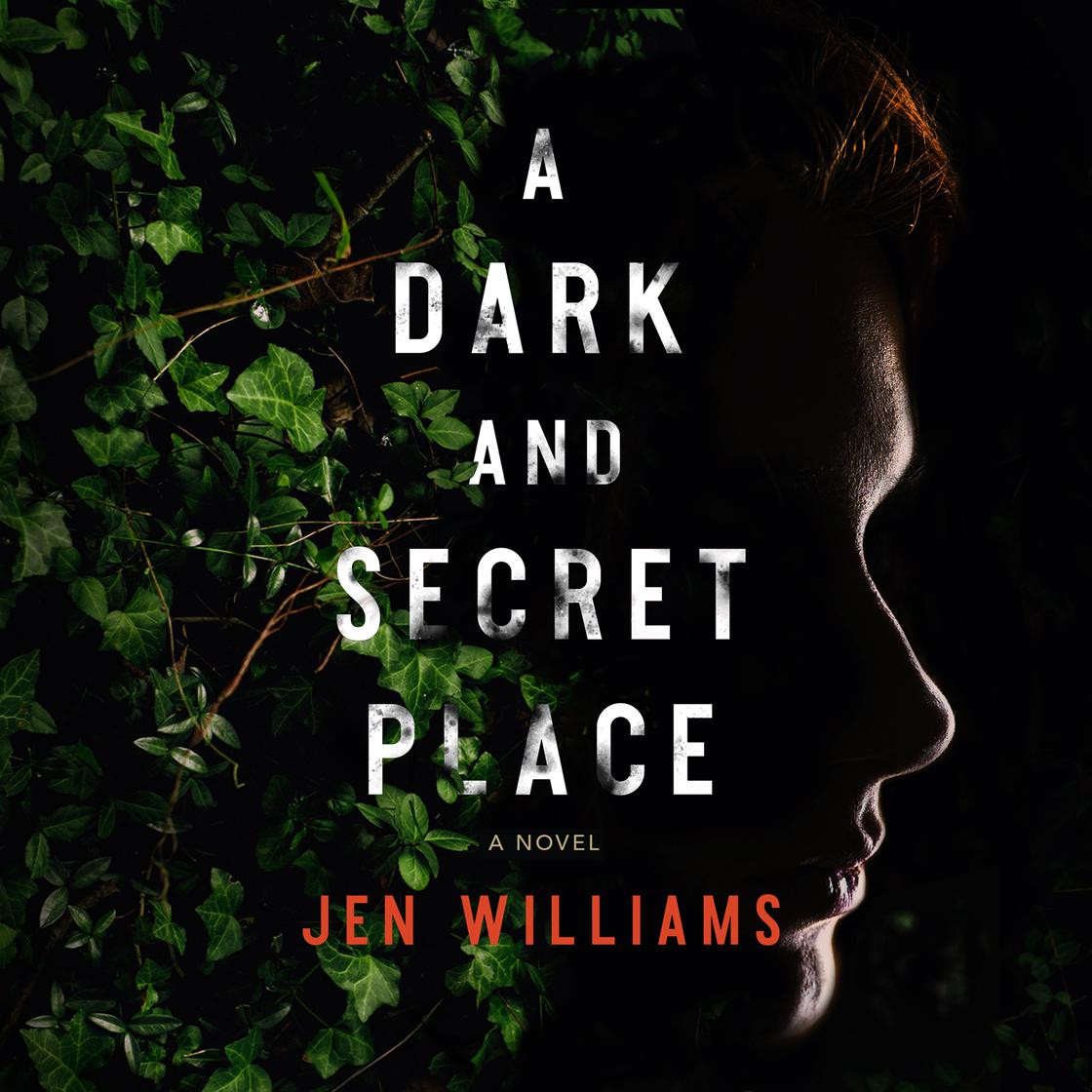 A Dark and Secret Place | Libro.fm (US)