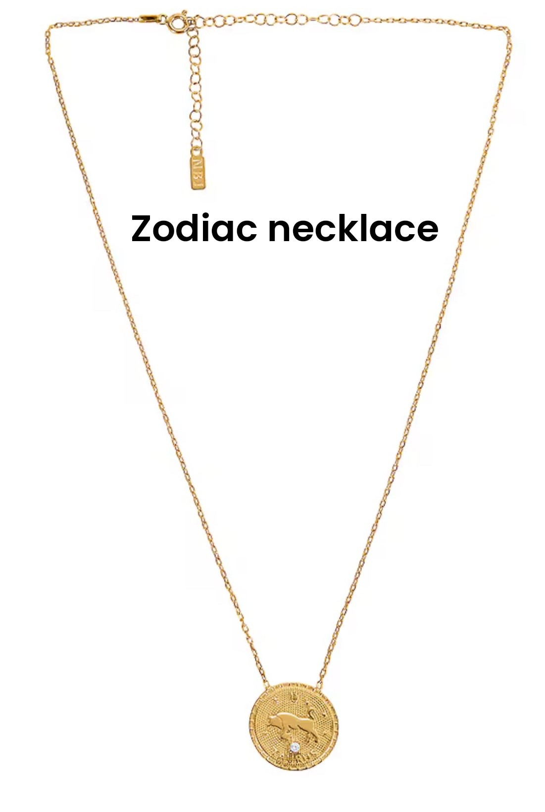Redone Zodiac Vintage Necklace in Gold.  Each one is unique for your month you were born!  14k gold plated.  

#LTKFindsUnder100 #LTKStyleTip #LTKU