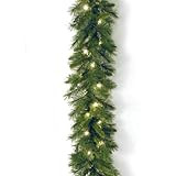 National Tree Company Pre-Lit Artificial Christmas Garland, Green, Winchester Pine, White Lights, Pl | Amazon (US)
