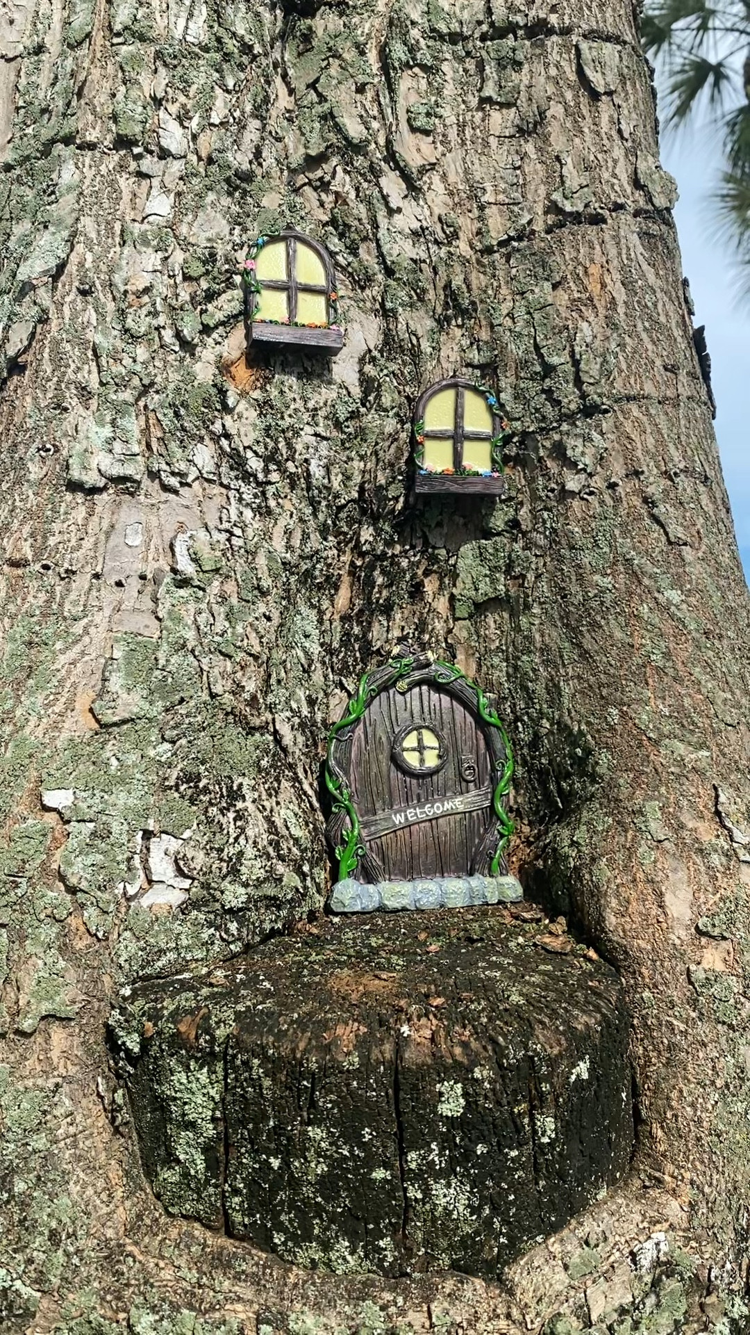 The cutest little neighbors you ever did see! Add this miniature gnome fairy door and windows to a tree outside! They glow in the dark too!

#LTKHalloween #LTKVideo #LTKhome