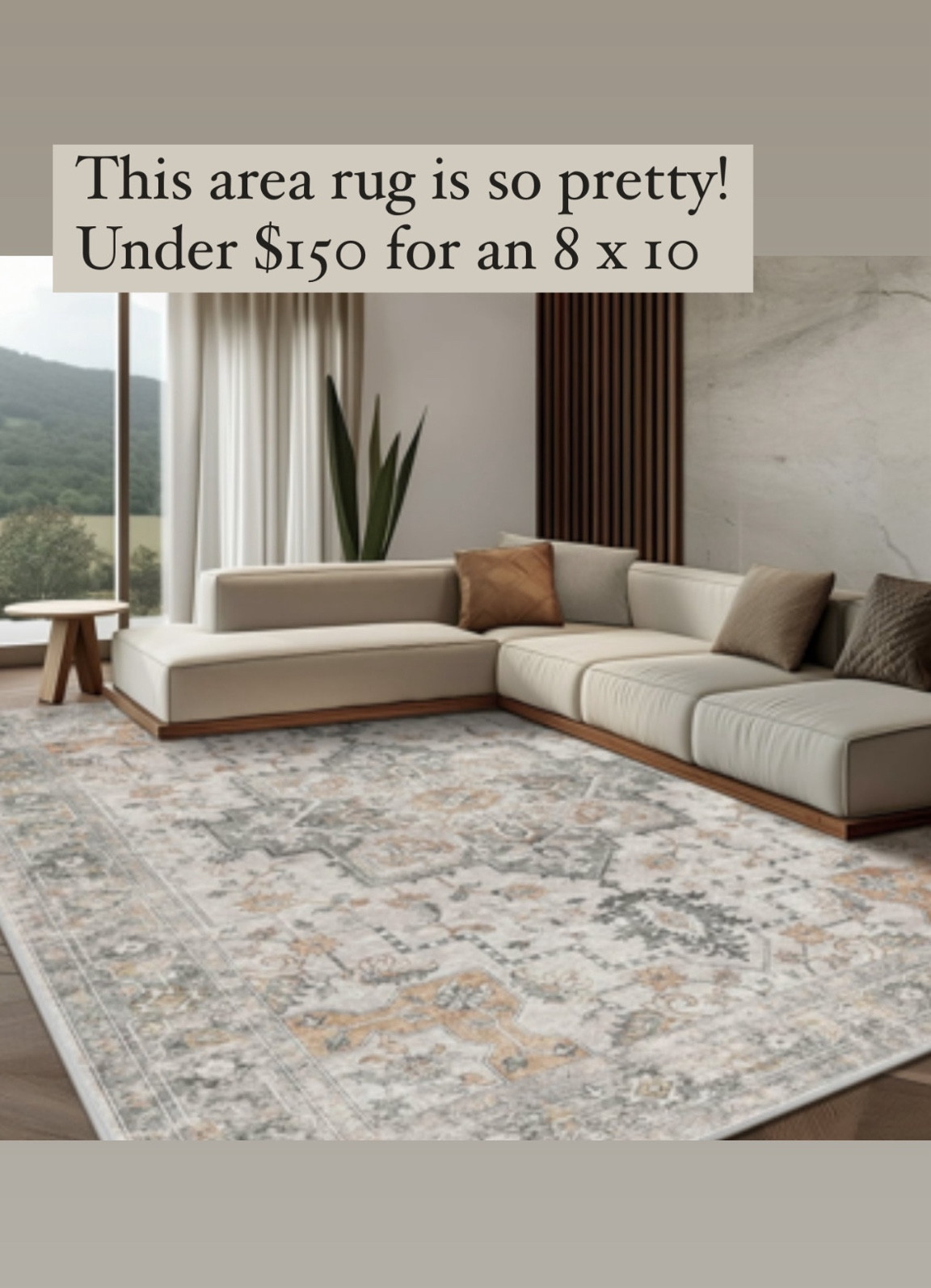 Love the colors and pattern on this Walmart area rug! The 8 x 10 size is under $150 right now. 👍🏻

#arearug #livingroom #diningroom #nursery


#LTKSaleAlert #LTKHome #LTKSummerSales