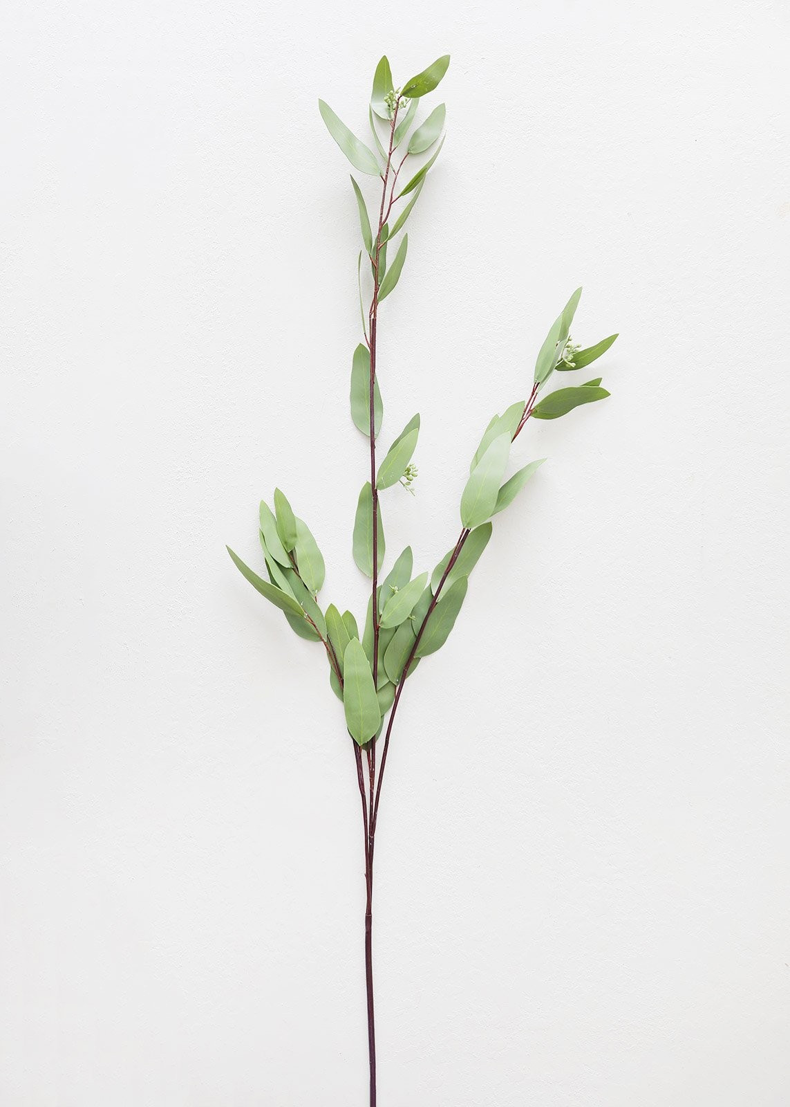 Real Touch Seeded Eucalyptus Weeping Leaf Branch - 52" Long | Afloral (US)