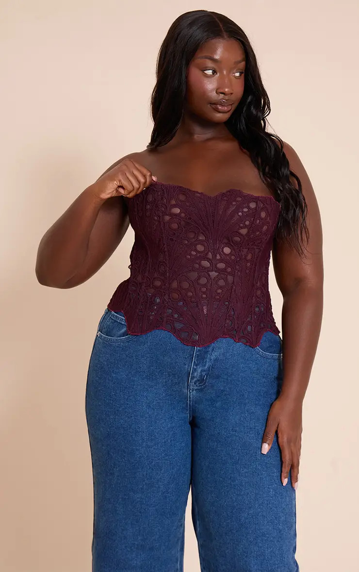 Plum Textured Sheer Floral Lace Corset | PrettyLittleThing USA | PrettyLittleThing US