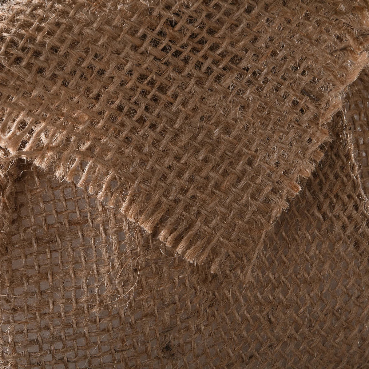 Nordic Spruce Tree with Clear Lights | Wayfair North America