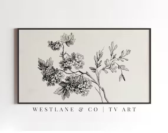 Frame TV Art Vintage Botanical Sketch  Neutral Antique | Etsy | Etsy (US)