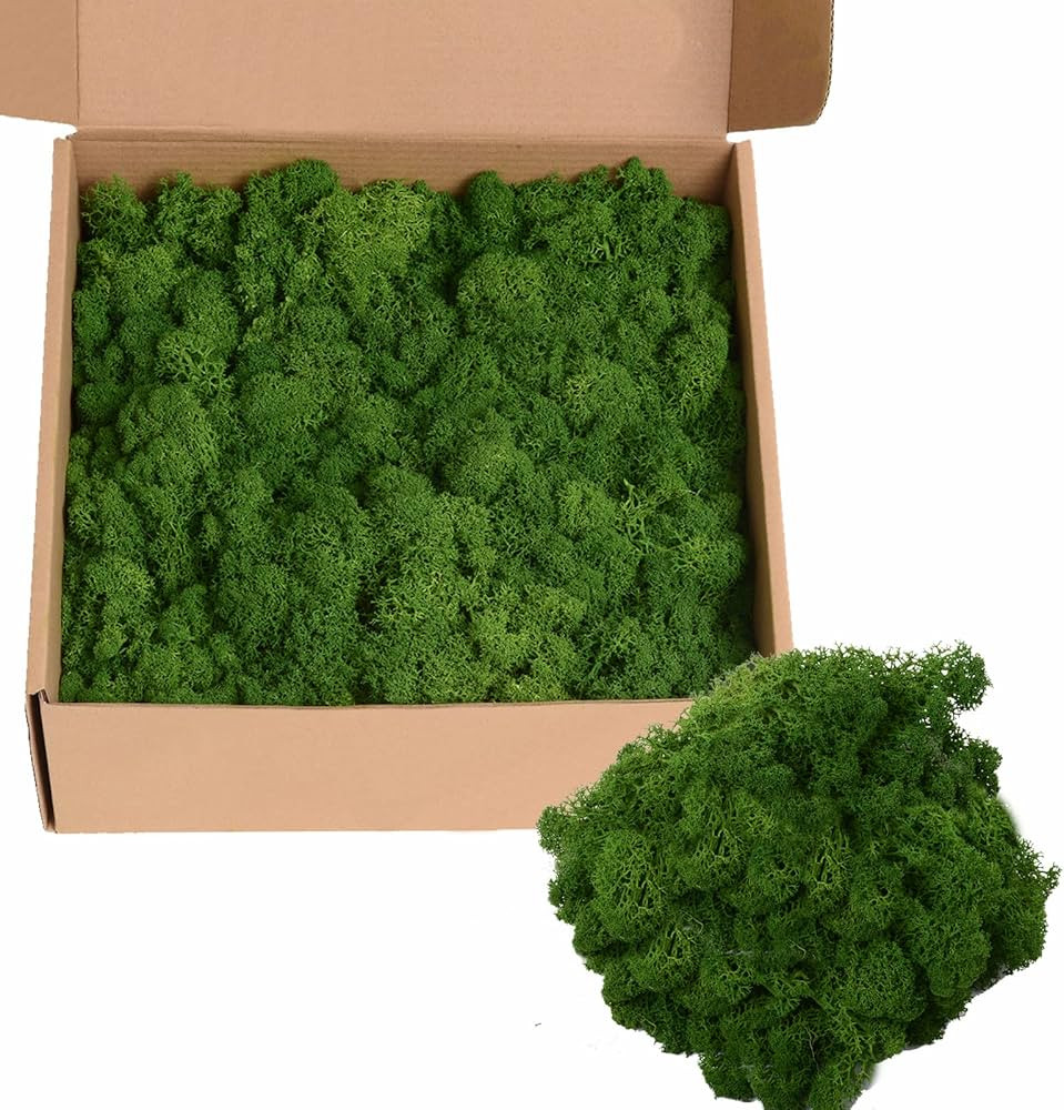 14OZ Preserved Moss Colored Moss for Moss Wall Art, Moss Crafts, Moss for Potted Plants, DIY Home... | Amazon (US)