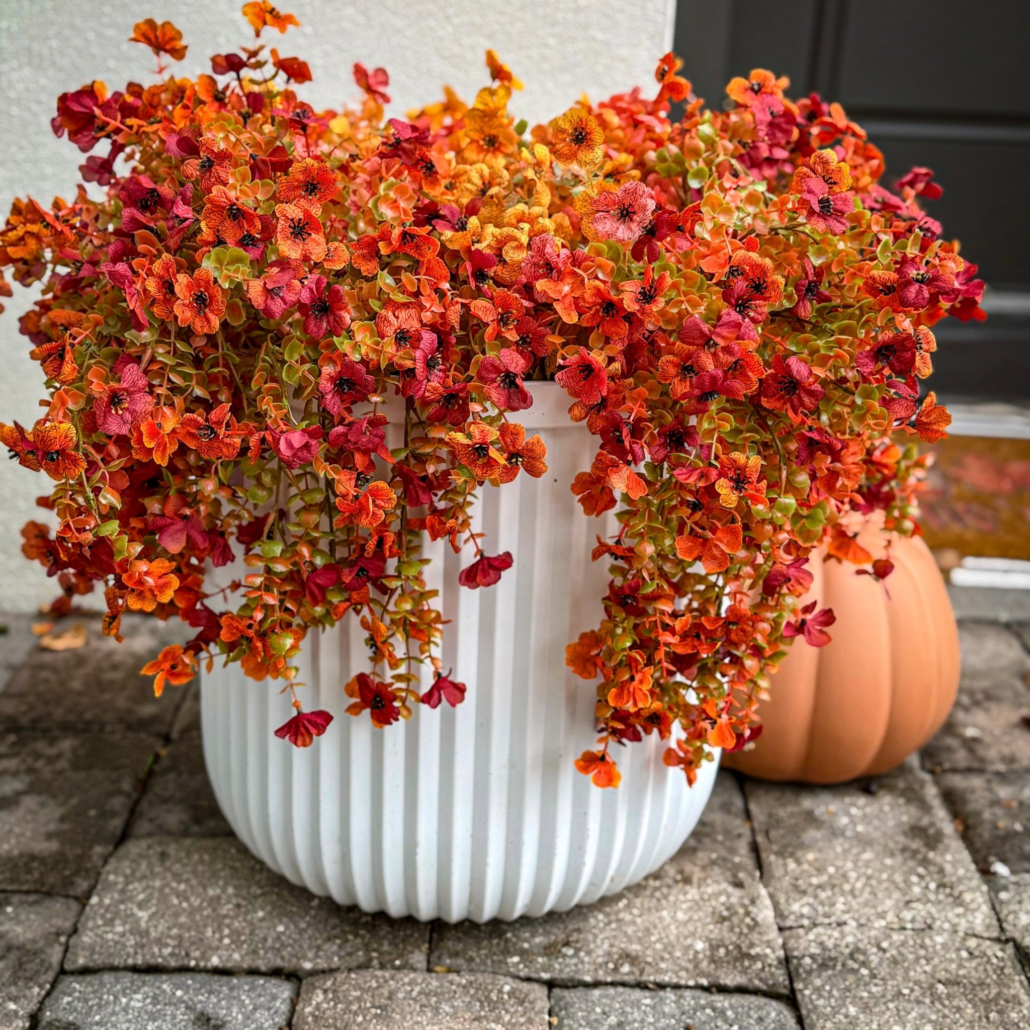 Modern Outdoor Fall Decor Inspiration

Warm up your outdoor space this fall with faux mums. Mix colors and styles of mums to achieve your perfect look. 

Front porch inspiration 
Pumpkins 

I used  yellow orange mums, two packs and fall orange hanging mums, two packs.

#modernhome #falldecorating #neutraldecor #interiordesign #homedesign #pinterestdecor #outdoorr

#LTKFallSale #LTKHome #LTKSaleAlert
