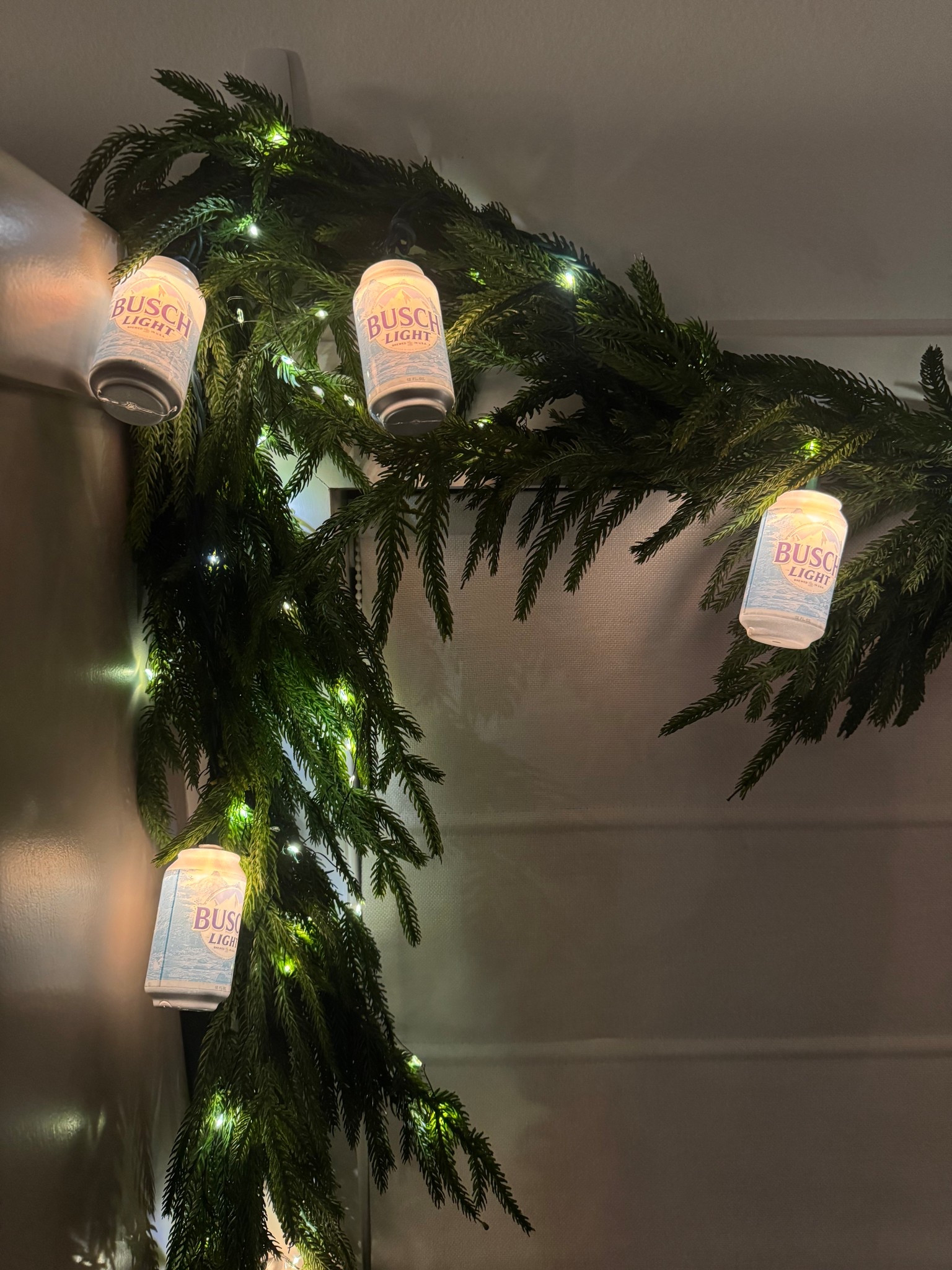 I’m not a regular wife, I’m a cool wife 💁🏻‍♀️

Busch lights 🎄 perfect for that Busch drinker in your household and a garage/ bar area. 

#LTKHome #LTKFindsUnder50 #LTKHoliday