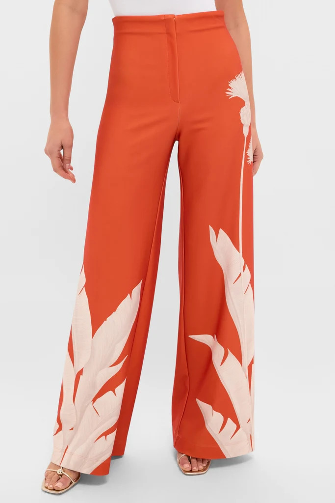 Orange Dandelion Pants | Tuckernuck (US)