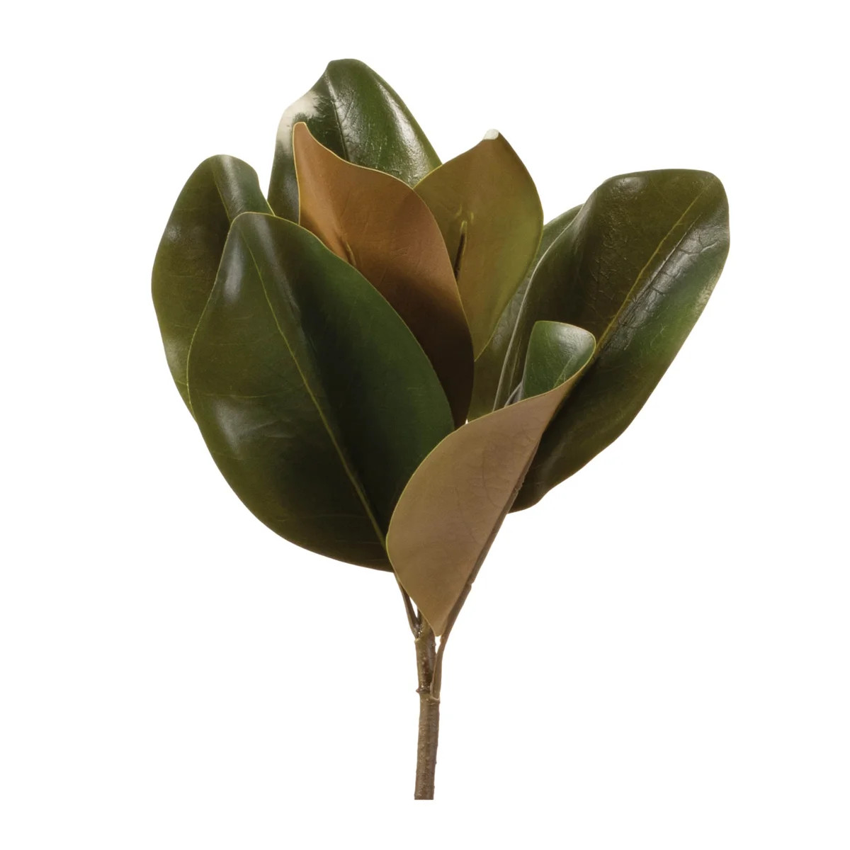 Magnolia Leaf Spray (Set of 6) | Wayfair North America