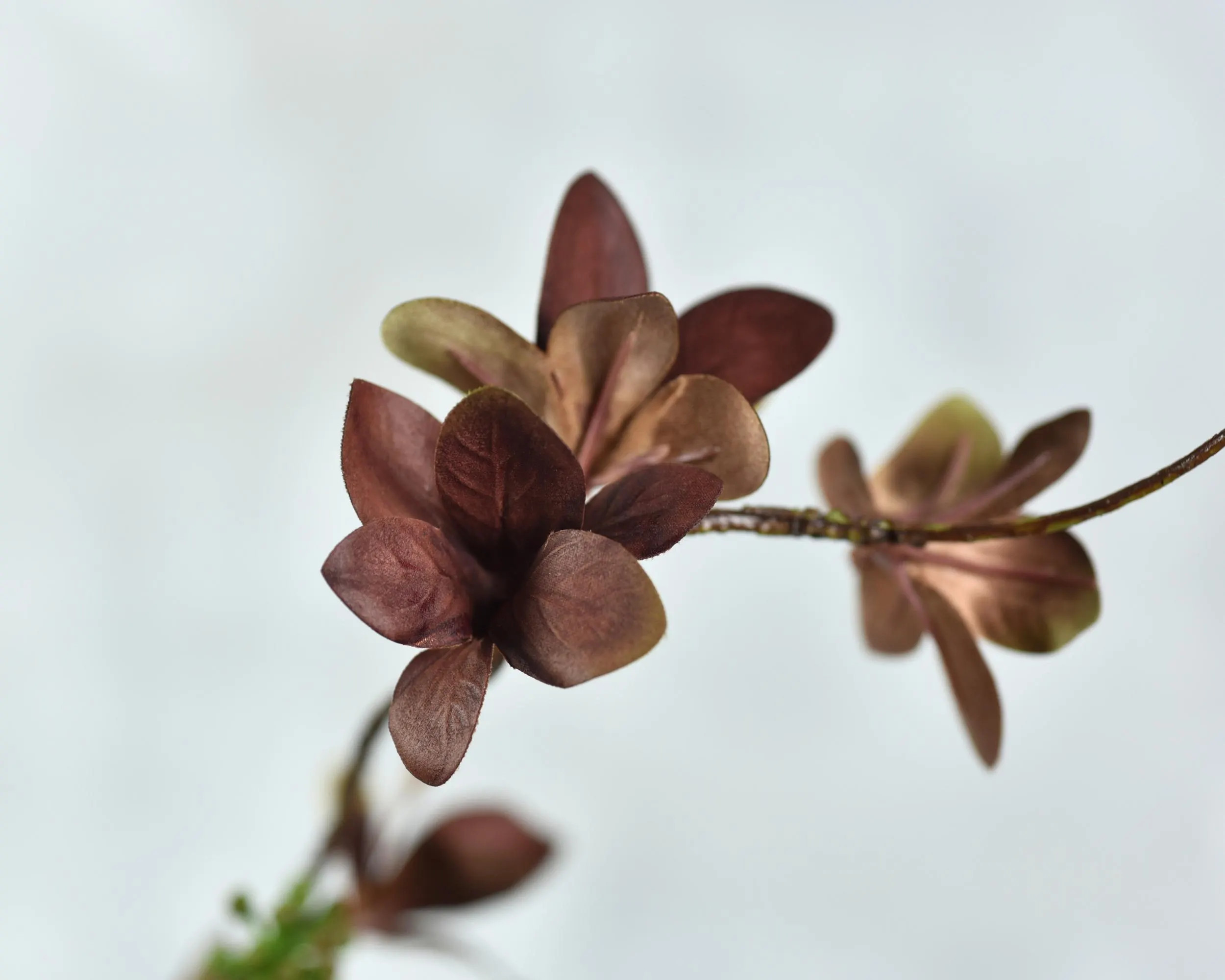 Faux Autumn Brown Japanese Enkianthus Leaf - Artificial Foliage / Branch / Plant / Home Decor / F... | Etsy (US)