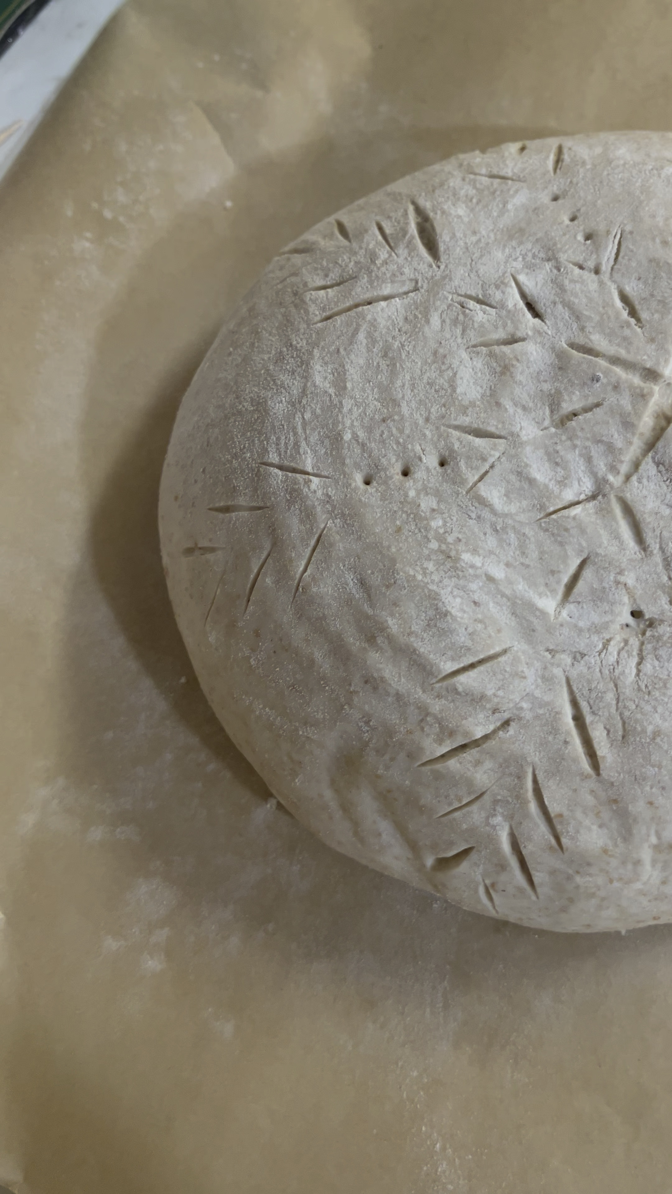 attempted sourdough snowflake scoring design



#LTKSeasonal #LTKHoliday #LTKWatchNow