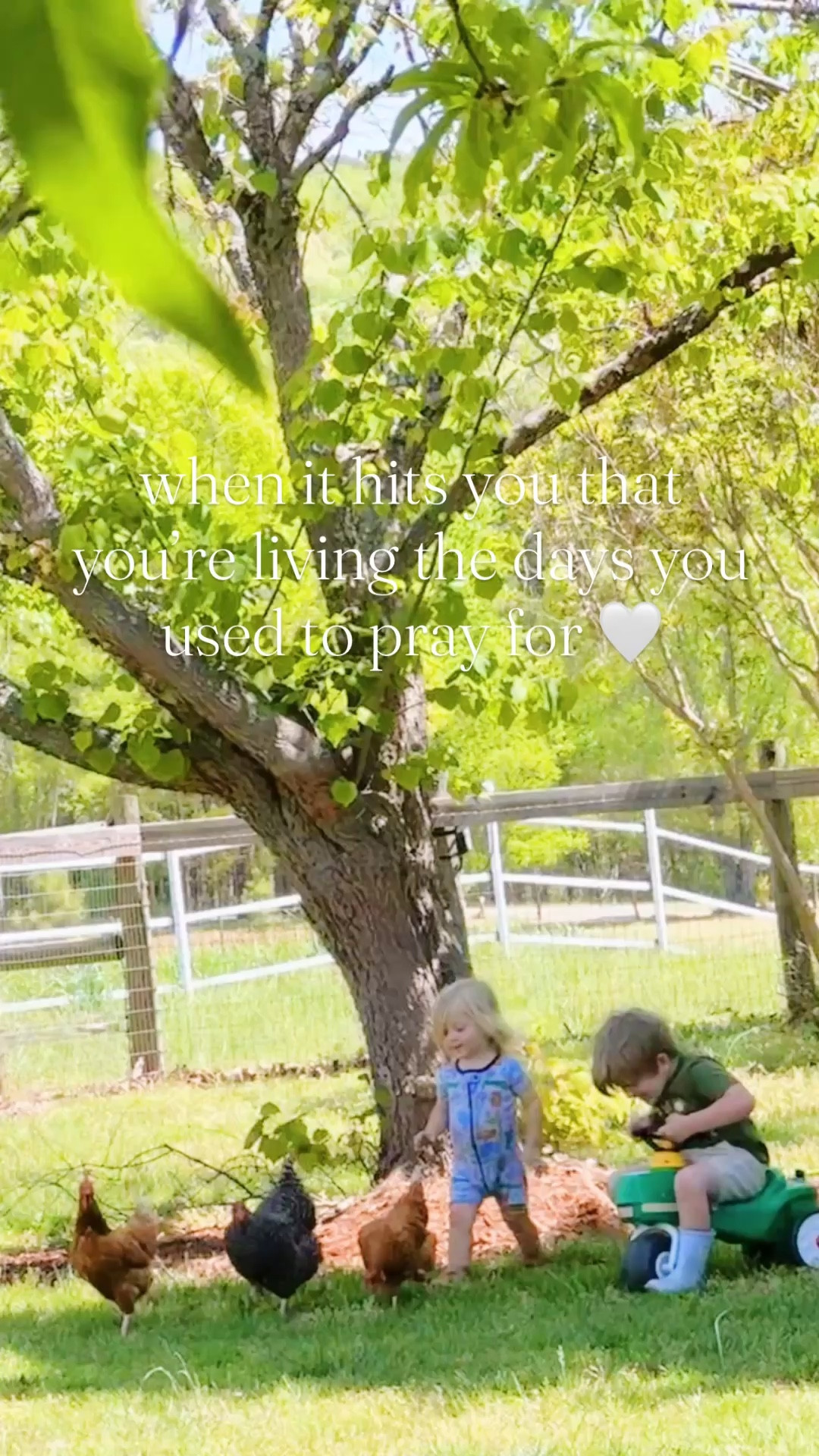 This song is my life raising these sweet country babies on the farm 👶🏼🚜🌱🐓🌾 I mean if this isn’t the picture of a precious sweet, slow, and simple country childhood… I don’t know what is!! 🌳🐥🌿🐔🪴💦 #livingmydream #sweetslowandsimple 

Thank you, Lord, for this beautiful life and the most wonderful country backyard full of babies and chickens - these truly are the days I always dreamed of!!! 👶🏼🌾🐓🌳 #countrybackyard #countryliving #countrychildhood

#LTKKids #LTKmomlife #LTKHome