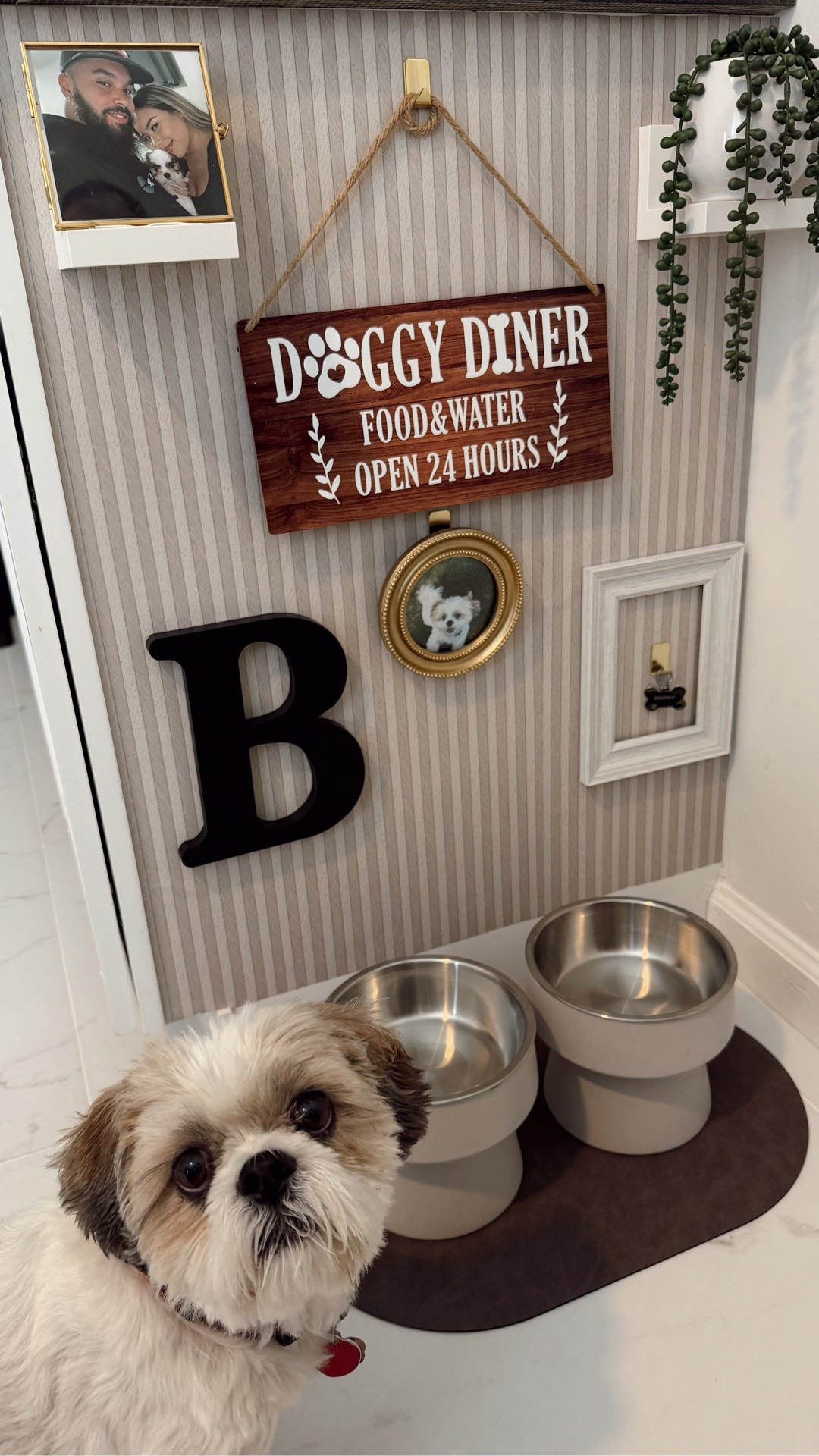 Bronnie’s Corner 🐶