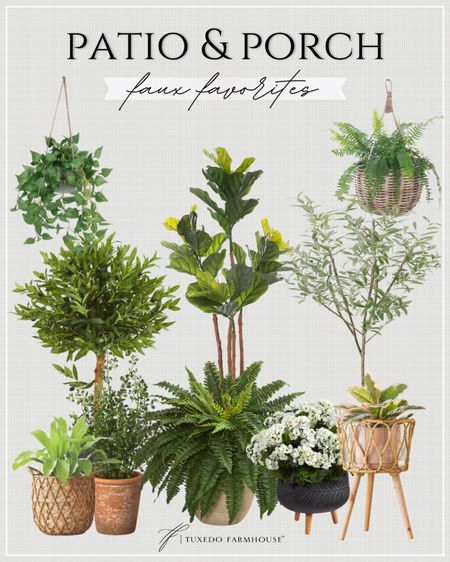 Patio & Porch - Faux Favorites 

I love these faux plants that stay green all season with no watering and resist fading! Treat your patio today !

#LTKHome #LTKSeasonal
