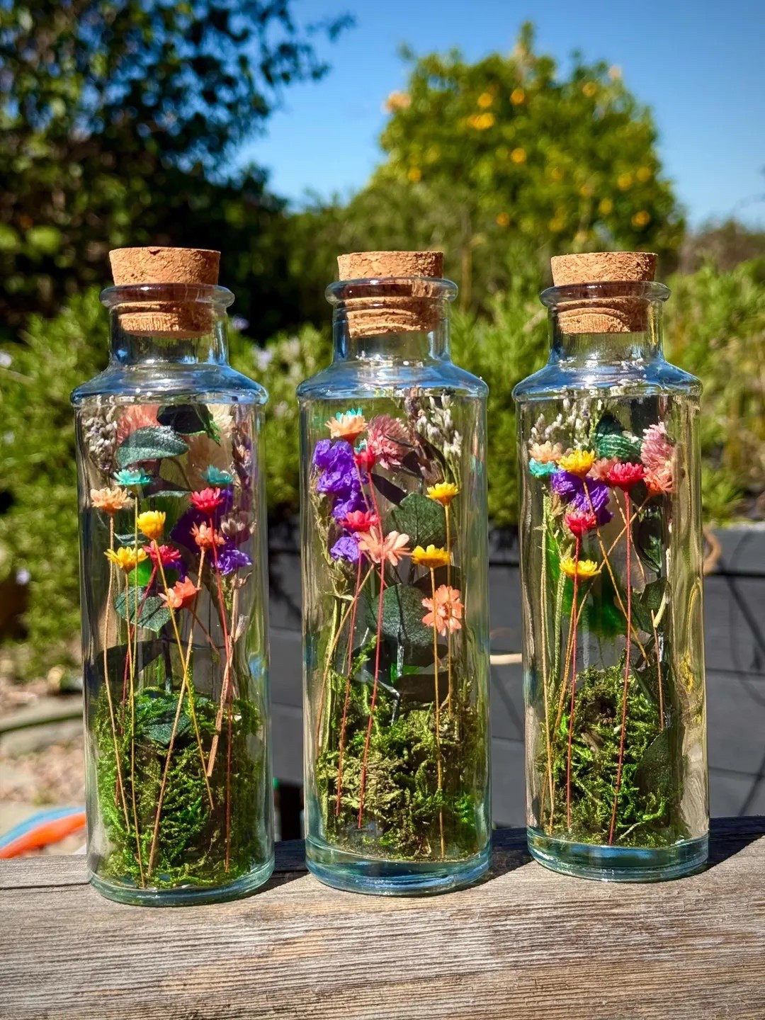 Bring the charm of a wildflower meadow indoors with these beautifully curated dried flower glass jars. Featuring natural air-dried blooms, real moss, and soft green tones with pops of color, these unique pieces add effortless nature-inspired style to shelves, windows, offices, or event tables. Available individually or as a set, these everlasting arrangements make thoughtful gifts and timeless decor that adds warmth and texture to any space.

#LTKHome #DriedFlowers #WildflowerDecor #NaturalHomeDecor #EverlastingFlowers #ShelfDecor #SpringDecor #HomeStyling #RusticDecor #BohoHome #NatureInspired #GiftIdeas #HomeInspo #LTKFinds

#LTKHome #LTKdayinmylife #LTKSeasonal
