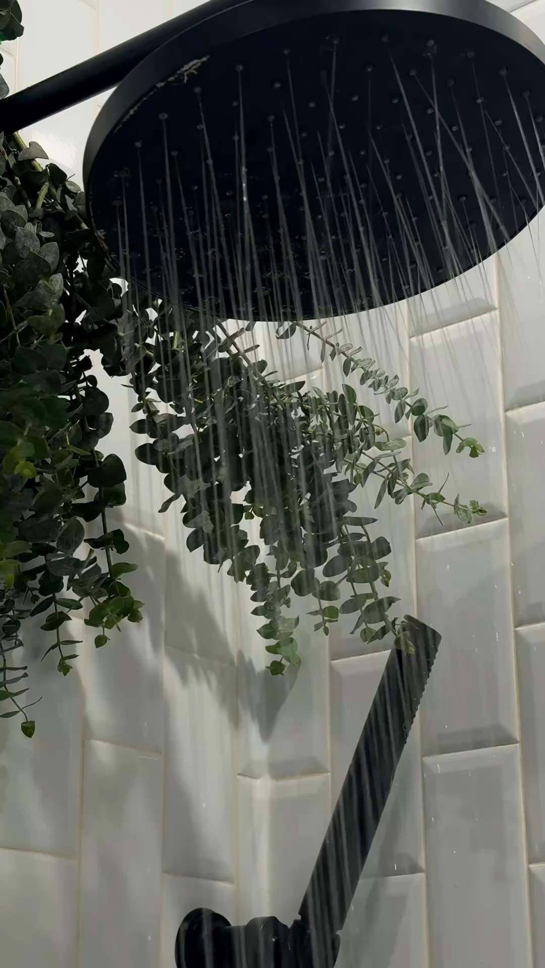 Sunday scaries aren’t so scary when you have Lush’s Sleepy Shower Gel + Body lotion to help you unwind. 

A staple for nights when you need a little extra calm. 



#LTKBeauty #LTKselfcare