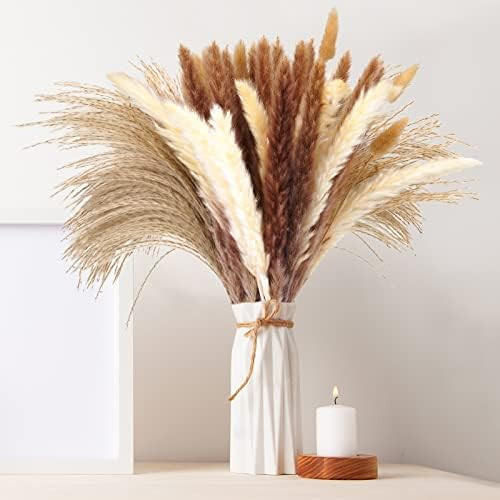 Pampas Grass | Amazon (US)