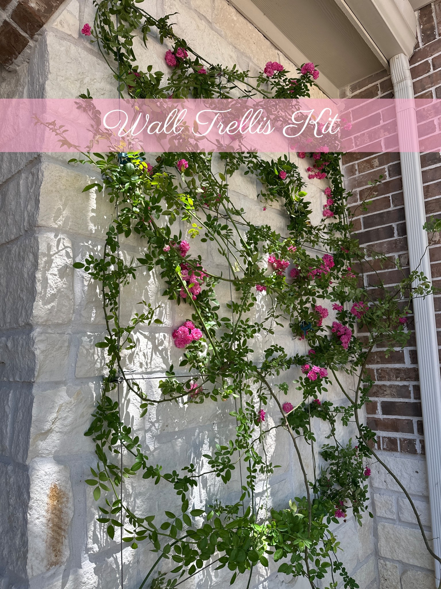 Climbing rose wall trellis kit. Cottage garden. Gardening supplies. 

#LTKHome