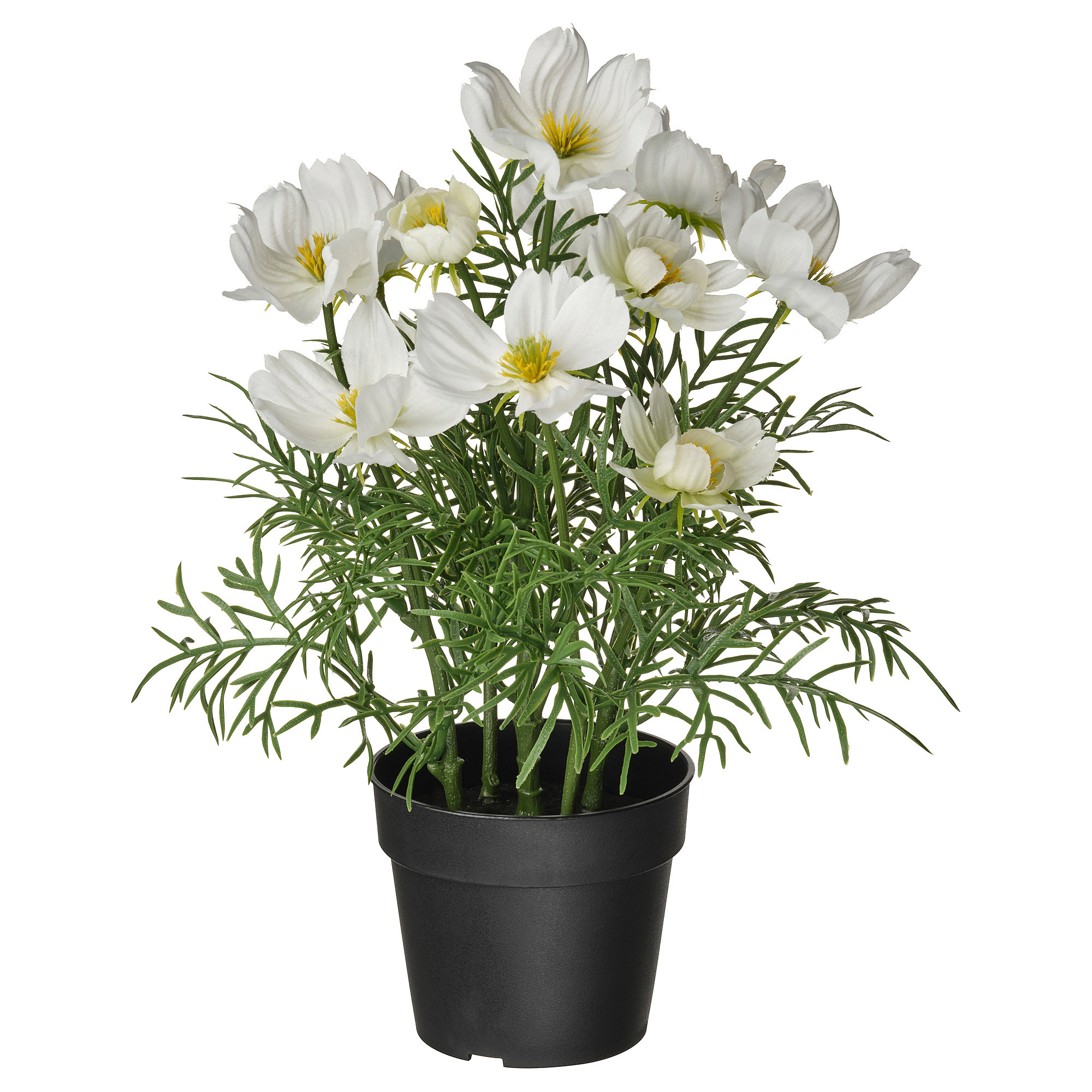 FEJKA Artificial potted plant, indoor/outdoor/cosmos white, 3 ½ " | IKEA US