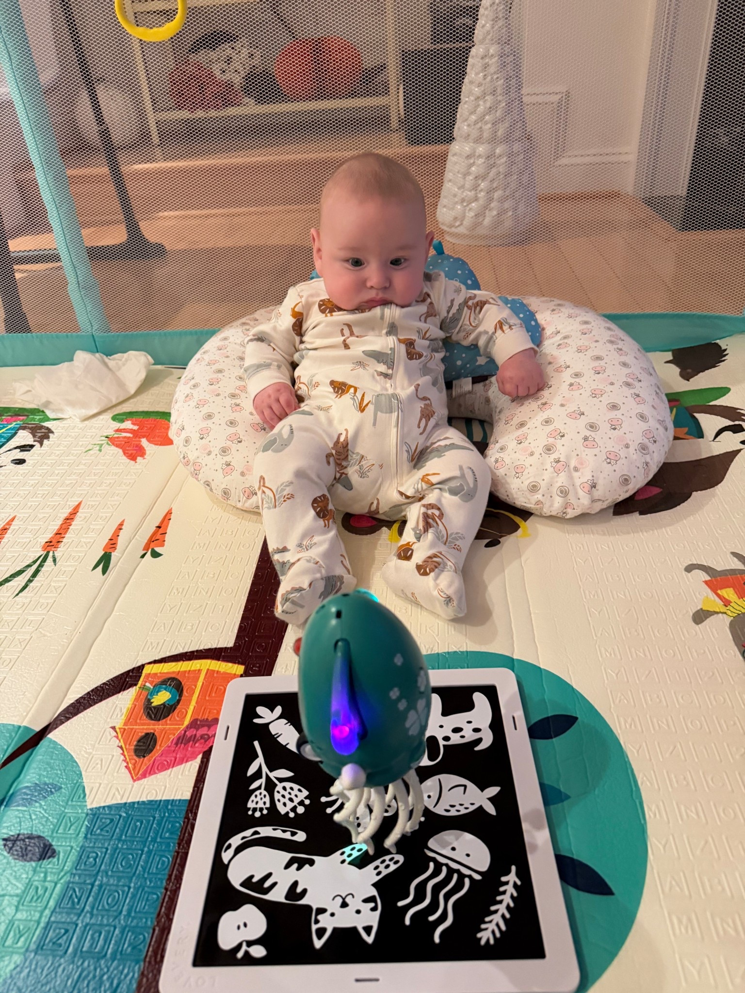 My four month old is positively obsessed with this moving and dancing octopus and to be fair so is my nine year old 🤣

#LTKBaby #LTKGiftGuide #LTKHoliday