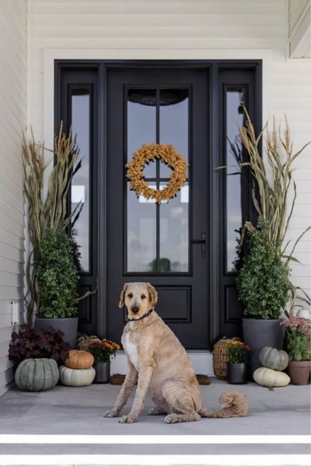 Our Fall Porch - I went simple and easy this year! 

#LTKHoliday #LTKhome #LTKSeasonal