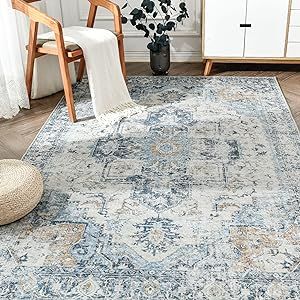 jinchan Area Rug 8x10 Persian Rug Indoor Vintage Rug Floor Cover Print Distressed Carpet Multi Th... | Amazon (US)