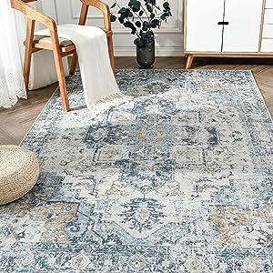 jinchan Area Rug 8x10 Persian Rug Indoor Vintage Rug Floor Cover Print Distressed Carpet Multi Th... | Amazon (US)