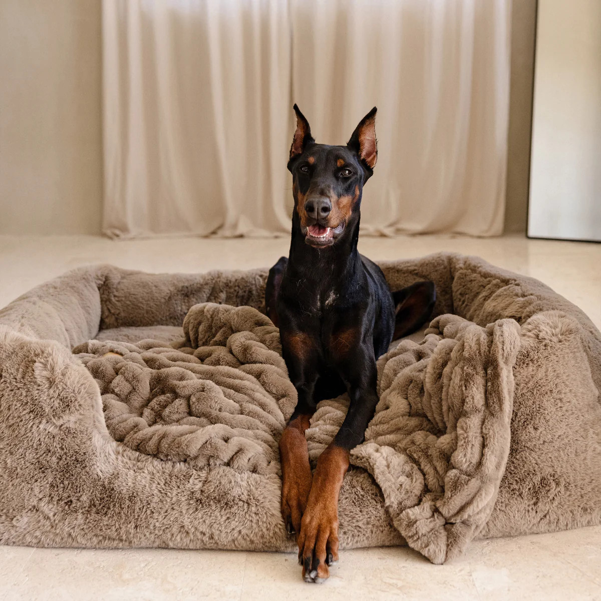 The Lola Pet Bed | Desert Dune | Lola Blankets