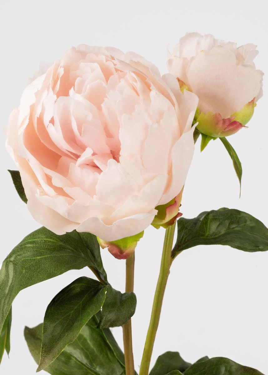 Artificial Peony in Blush | Real Touch Flowers at Afloral.com | Afloral