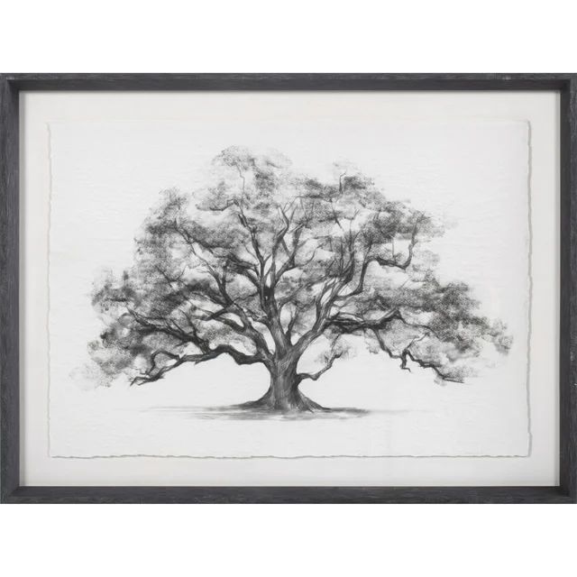 My Texas House Elm Tree on Parchment Framed Art 24" x 18" - Walmart.com | Walmart (US)